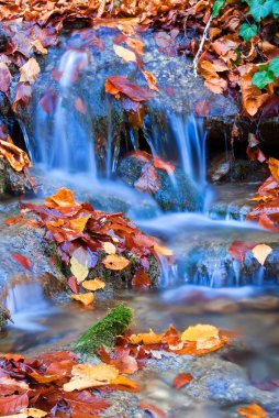 agua azul de otoño