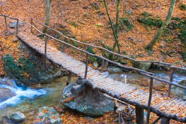 küçük nehir boyunca tahta bidge