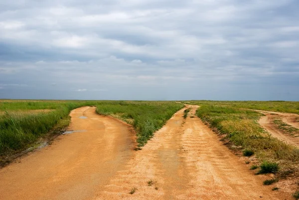 Route dans une steppe — Photo
