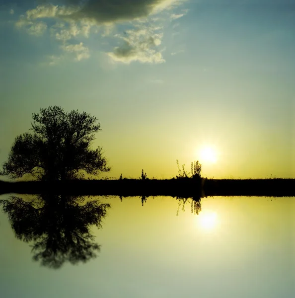 stock image Majestic sunset in a lake