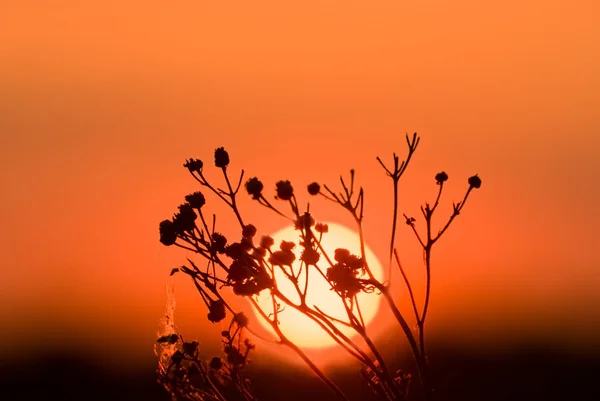 Tiché západ slunce — Stock fotografie
