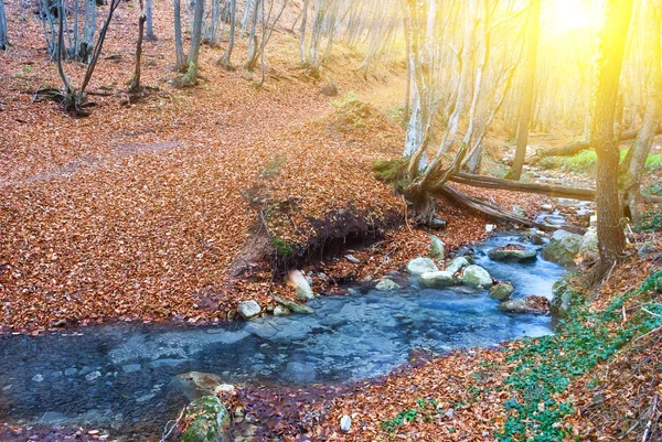 在秋季峡谷中的太阳光线中的蓝色河 — 图库照片