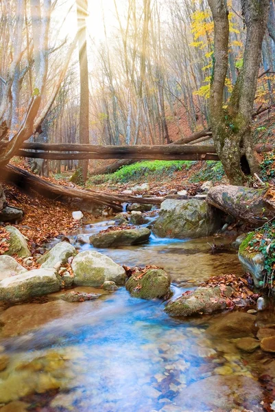 stock image Quiet autumn river by a sunny day