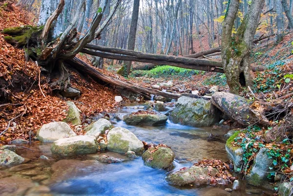 Φθινοπωρινό ποτάμι — Φωτογραφία Αρχείου