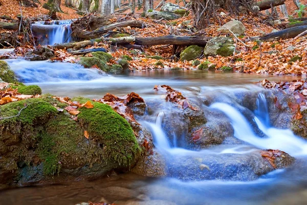 Голубая вода течет в красных листьях — стоковое фото