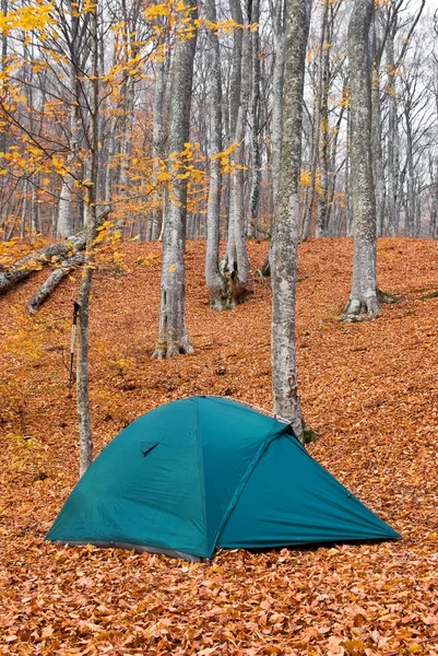 Туристическая палатка в осеннем лесу — стоковое фото