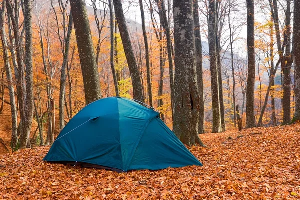 観光のテントは静かな秋の森 — ストック写真