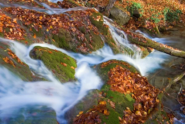 Corriente de agua en un musgo — Foto de Stock
