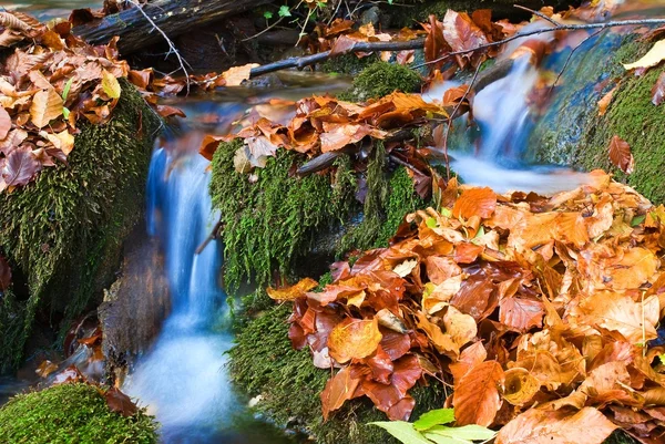 Malé podzimní potok — Stock fotografie