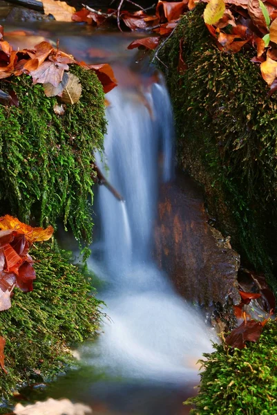 Wunderschöne Wasserkaskade inmitten eines grünen Moos — Stockfoto