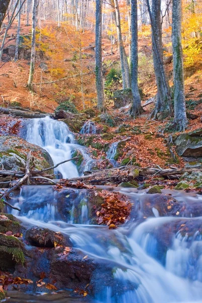 Rivière de montagne et forêt d'automne — Photo