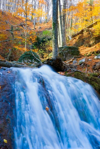 Μεγαλοπρεπή waterfal σε ένα φθινόπωρο φαράγγι του βουνού — Φωτογραφία Αρχείου