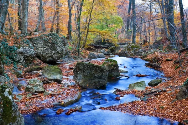Sonbahar ormandaki nehir — Stok fotoğraf