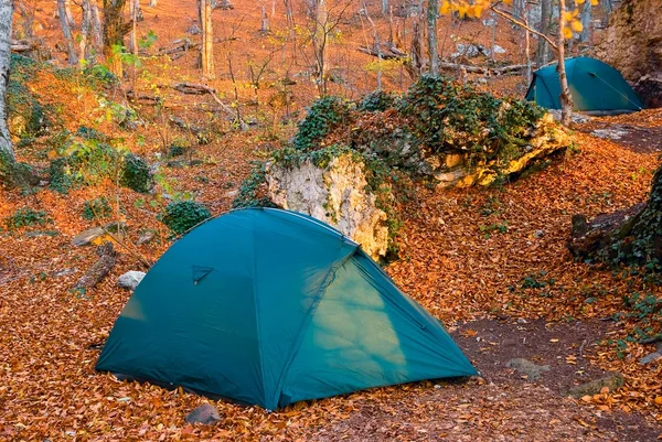 在红色秋天的森林中的两个美丽旅游帐篷 — 图库照片