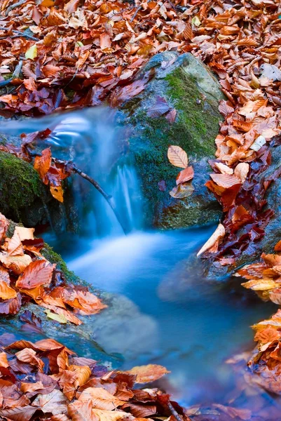 Snall kék patak között piros levelek — Stock Fotó