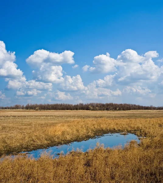 秋の草原の湖 — ストック写真