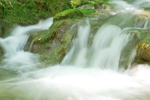 Stream of water in the middle of mosses — Stock Photo, Image