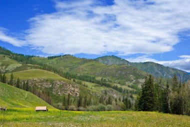 Ormancılık Hills uzak landskape