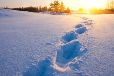 Track in a snow at the evening clipart