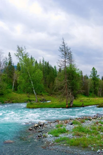 Spěchá smaragdové horská řeka — Stock fotografie