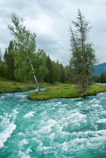 Sungai pegunungan yang deras — Stok Foto