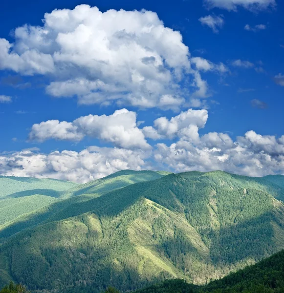 Berge über dem Wald — Stockfoto