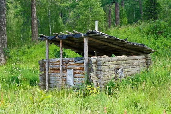 Casa de madera en un bosque — Foto de Stock