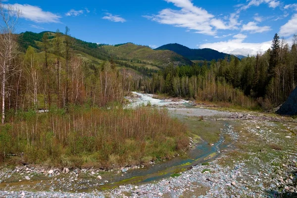 Altai landscape — Stock Photo, Image