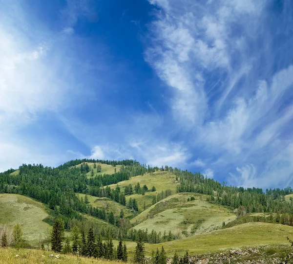 큰 언덕 — 스톡 사진