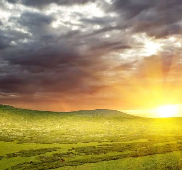 stock image Sunset in a green hills