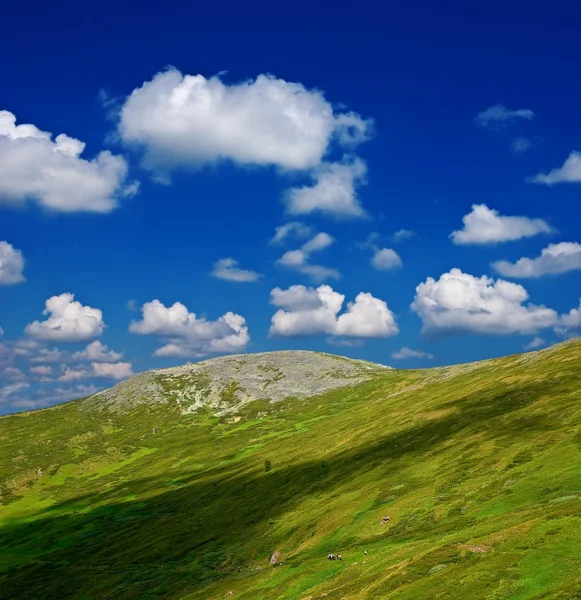 緑山の風景 — ストック写真