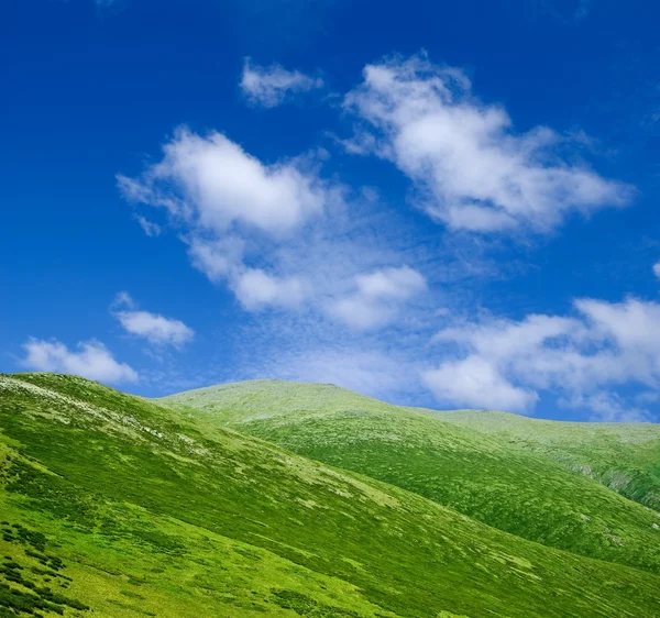 Letní zelené kopce — Stock fotografie