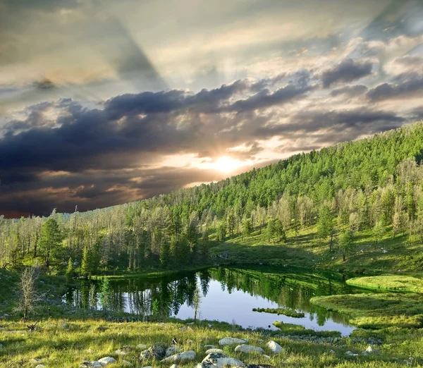 stock image Sunset at the forest lake