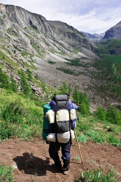 Viajero en un valle de montaña —  Fotos de Stock