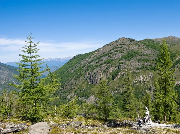 Vista de um topo de montanha para um vale — Fotografia de Stock