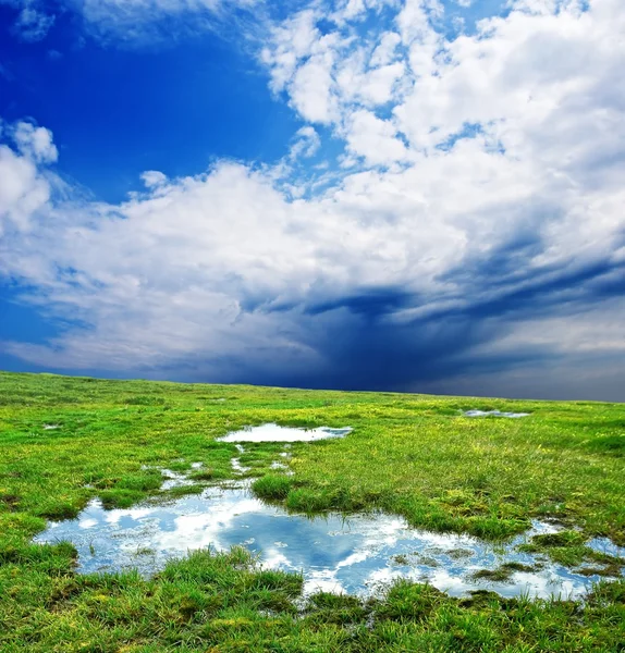 Green meadow with puddles — Stock Photo, Image