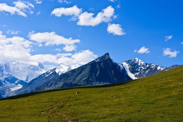 Summer day in a altai mountains — Stock Photo, Image