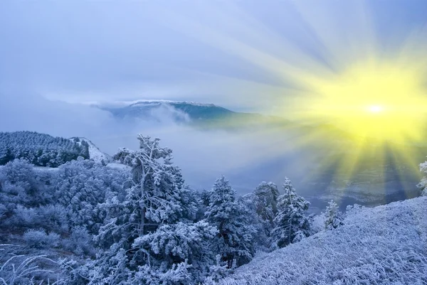 Sparkle sun in a winter snowbound mountains — Stock Photo, Image