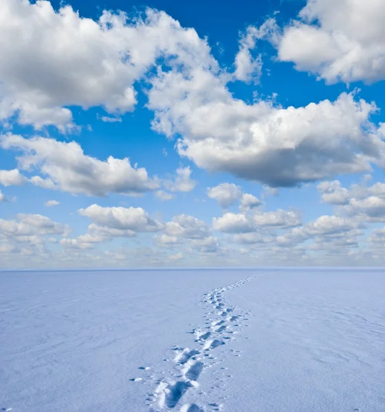 Winter snowbound plain with human tracks