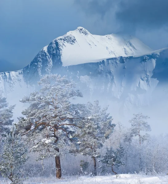 Paisaje de montaña de invierno —  Fotos de Stock