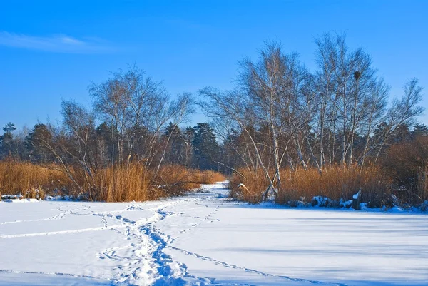 Bellissimo paesaggio invernale — Foto Stock