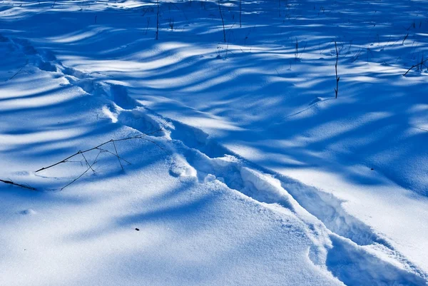 跟踪上雪背景 — 图库照片