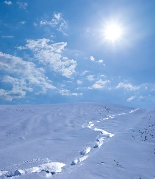 Menschliche Spur in einer schneebedeckten Ebene — Stockfoto