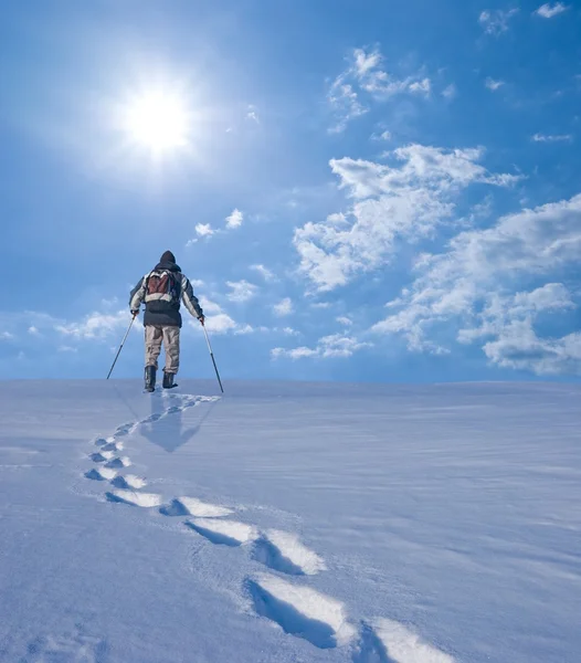 Hiker in a winter plain — Stock Photo, Image