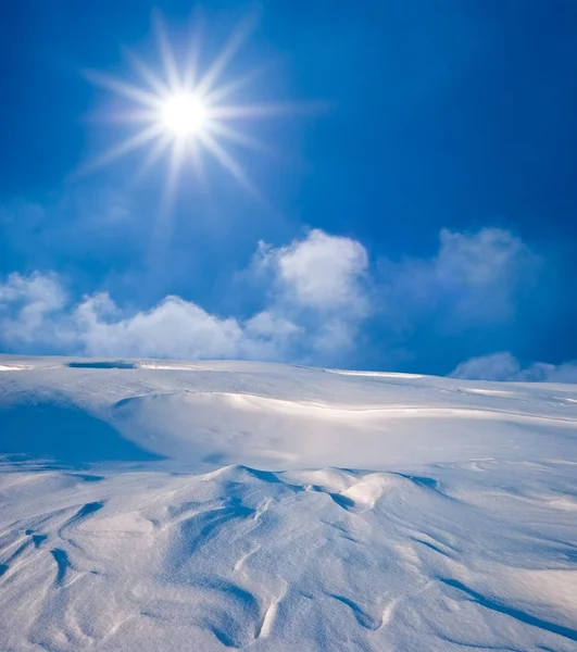 Dia ensolarado em uma pradaria de neve de inverno — Fotografia de Stock
