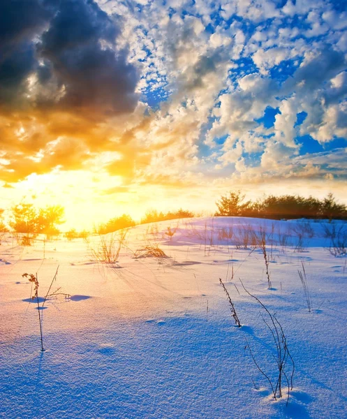 Sonnenuntergang in einer Schneewüste — Stockfoto