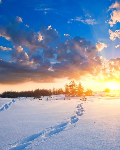 Evening snowbound plain with human track — Stock Photo, Image
