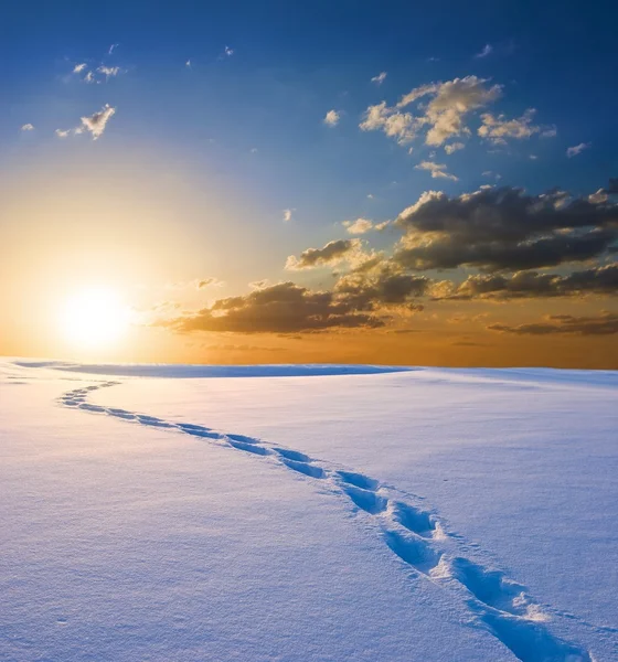 Jalur manusia menuju matahari terbenam di dataran musim dingin. — Stok Foto