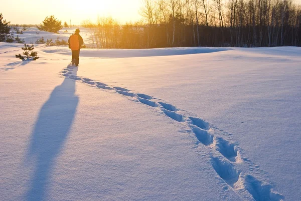 Akşam bir kış ormanda uzun yürüyüşe çıkan kimse — Stok fotoğraf
