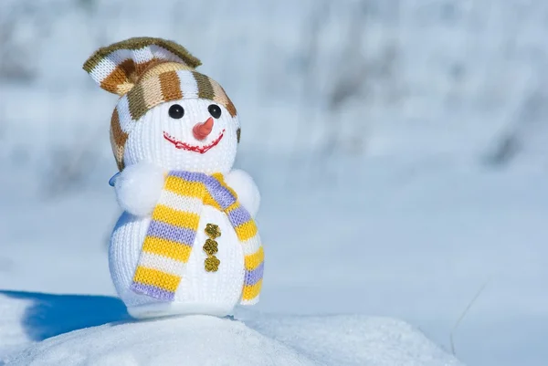 Happy snowman toy by a winter